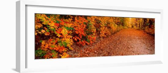 Road Passing Through Autumn Forest, Traverse City, Grand Traverse County, Michigan, USA-null-Framed Photographic Print