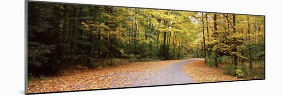 Road Passing Through Forest, Chestnut Ridge County Park, Orchard Park, Erie County, New York State-null-Mounted Photographic Print