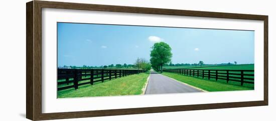 Road passing through horse farms, Woodford County, Kentucky, USA-null-Framed Photographic Print