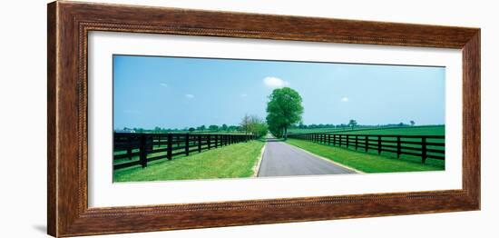 Road passing through horse farms, Woodford County, Kentucky, USA-null-Framed Photographic Print