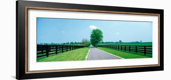 Road passing through horse farms, Woodford County, Kentucky, USA-null-Framed Photographic Print