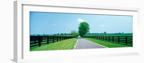 Road passing through horse farms, Woodford County, Kentucky, USA-null-Framed Photographic Print