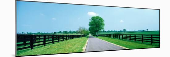 Road passing through horse farms, Woodford County, Kentucky, USA-null-Mounted Photographic Print