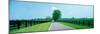 Road passing through horse farms, Woodford County, Kentucky, USA-null-Mounted Photographic Print
