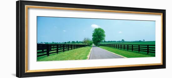 Road passing through horse farms, Woodford County, Kentucky, USA-null-Framed Photographic Print