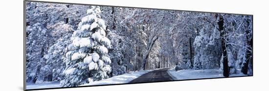 Road Passing Through Snowy Forest in Winter, Yosemite National Park, California, USA-null-Mounted Photographic Print