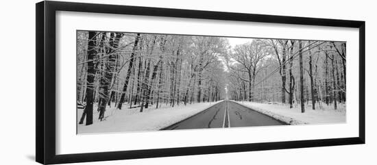 Road passing through winter forest, Wheeling, Illinois, USA-Panoramic Images-Framed Photographic Print