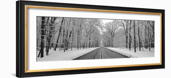 Road passing through winter forest, Wheeling, Illinois, USA-Panoramic Images-Framed Photographic Print