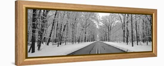 Road passing through winter forest, Wheeling, Illinois, USA-Panoramic Images-Framed Premier Image Canvas
