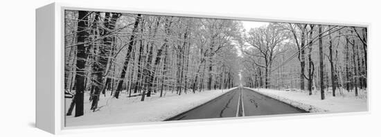 Road passing through winter forest, Wheeling, Illinois, USA-Panoramic Images-Framed Premier Image Canvas