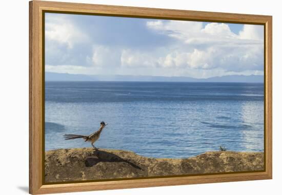 Road Runner View-Chris Moyer-Framed Premier Image Canvas