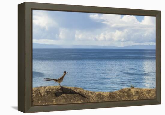 Road Runner View-Chris Moyer-Framed Premier Image Canvas