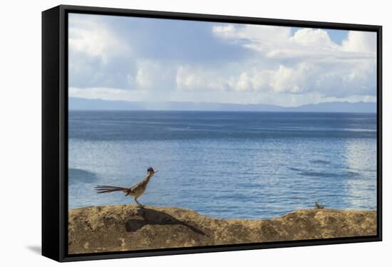 Road Runner View-Chris Moyer-Framed Premier Image Canvas