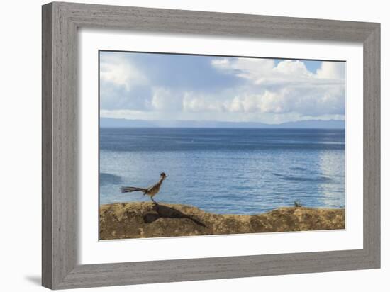 Road Runner View-Chris Moyer-Framed Photographic Print