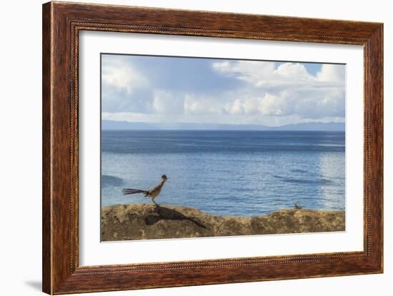 Road Runner View-Chris Moyer-Framed Photographic Print