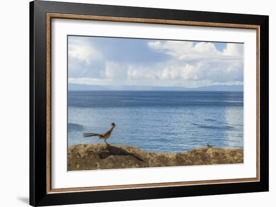 Road Runner View-Chris Moyer-Framed Photographic Print