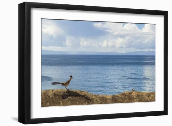 Road Runner View-Chris Moyer-Framed Photographic Print