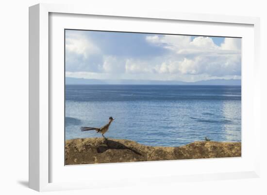 Road Runner View-Chris Moyer-Framed Photographic Print