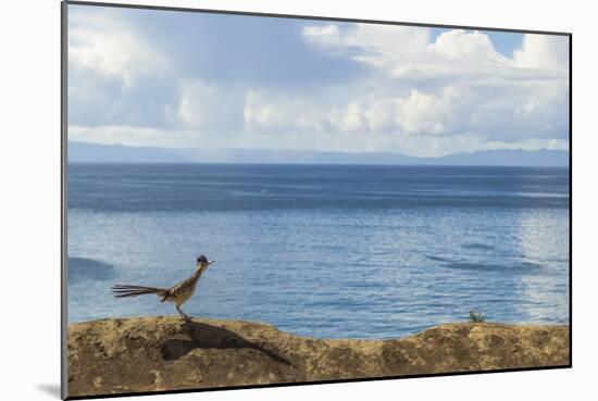 Road Runner View-Chris Moyer-Mounted Photographic Print