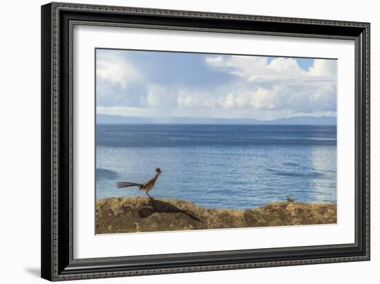 Road Runner View-Chris Moyer-Framed Photographic Print