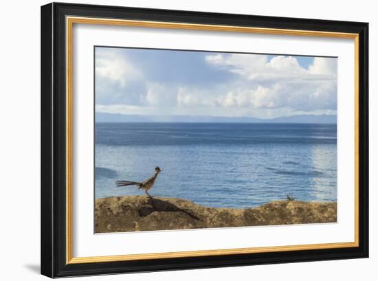 Road Runner View-Chris Moyer-Framed Photographic Print