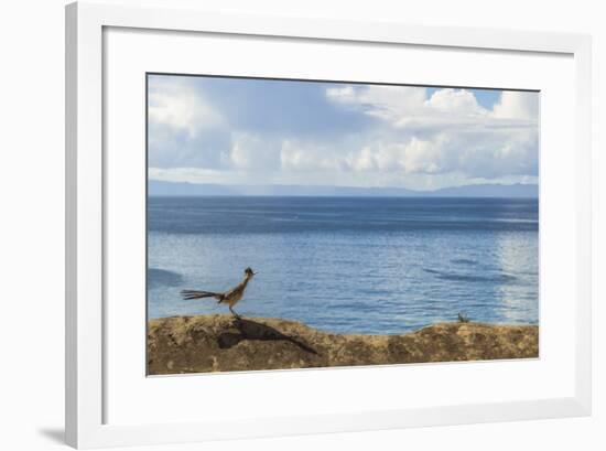 Road Runner View-Chris Moyer-Framed Photographic Print