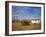 Road Runners Retreat, Route 66, Amboy, California, United States of America, North America-Richard Cummins-Framed Photographic Print