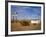 Road Runners Retreat, Route 66, Amboy, California, United States of America, North America-Richard Cummins-Framed Photographic Print