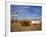 Road Runners Retreat, Route 66, Amboy, California, United States of America, North America-Richard Cummins-Framed Photographic Print