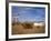 Road Runners Retreat, Route 66, Amboy, California, United States of America, North America-Richard Cummins-Framed Photographic Print