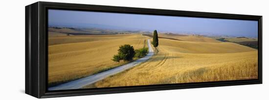 Road Running Through Open Countryside, Orcia Valley, Siena Region, Tuscany, Italy-Bruno Morandi-Framed Premier Image Canvas