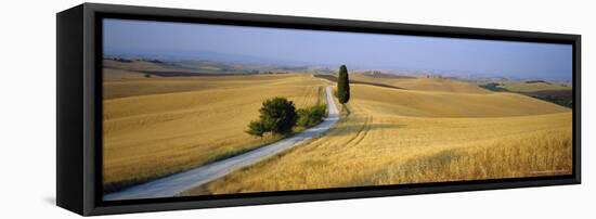 Road Running Through Open Countryside, Orcia Valley, Siena Region, Tuscany, Italy-Bruno Morandi-Framed Premier Image Canvas