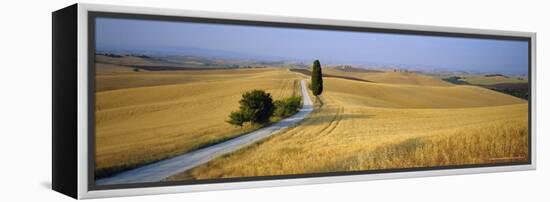 Road Running Through Open Countryside, Orcia Valley, Siena Region, Tuscany, Italy-Bruno Morandi-Framed Premier Image Canvas