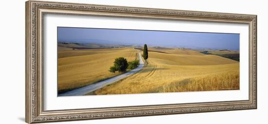 Road Running Through Open Countryside, Orcia Valley, Siena Region, Tuscany, Italy-Bruno Morandi-Framed Photographic Print