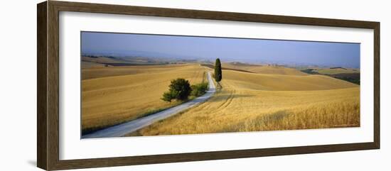 Road Running Through Open Countryside, Orcia Valley, Siena Region, Tuscany, Italy-Bruno Morandi-Framed Photographic Print