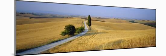 Road Running Through Open Countryside, Orcia Valley, Siena Region, Tuscany, Italy-Bruno Morandi-Mounted Photographic Print
