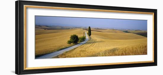 Road Running Through Open Countryside, Orcia Valley, Siena Region, Tuscany, Italy-Bruno Morandi-Framed Photographic Print