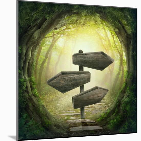 Road Sign in the Dark Forest-egal-Mounted Photographic Print