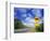 Road Sign of Animal Crossing, FL-Peter Adams-Framed Photographic Print