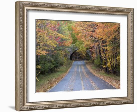 Road Through Acadia National Park in the Fall, Maine, Usa-Joanne Wells-Framed Photographic Print