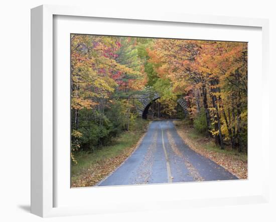 Road Through Acadia National Park in the Fall, Maine, Usa-Joanne Wells-Framed Photographic Print