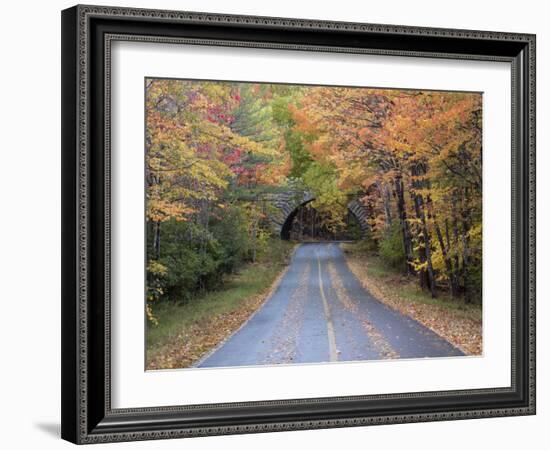 Road Through Acadia National Park in the Fall, Maine, Usa-Joanne Wells-Framed Photographic Print