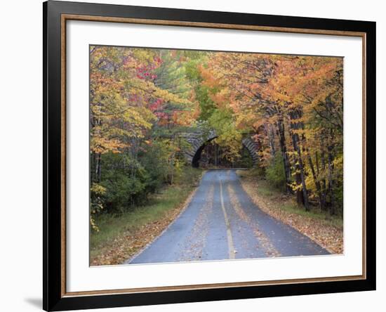 Road Through Acadia National Park in the Fall, Maine, Usa-Joanne Wells-Framed Photographic Print