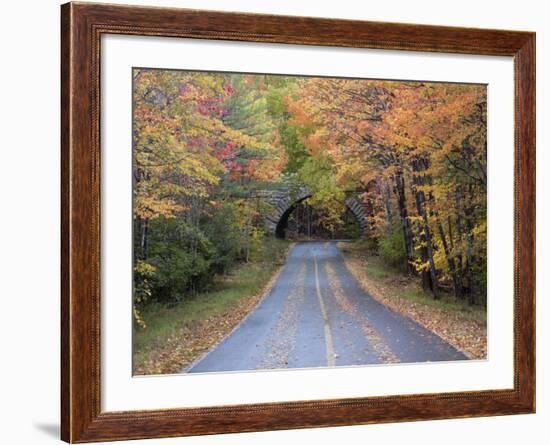 Road Through Acadia National Park in the Fall, Maine, Usa-Joanne Wells-Framed Photographic Print