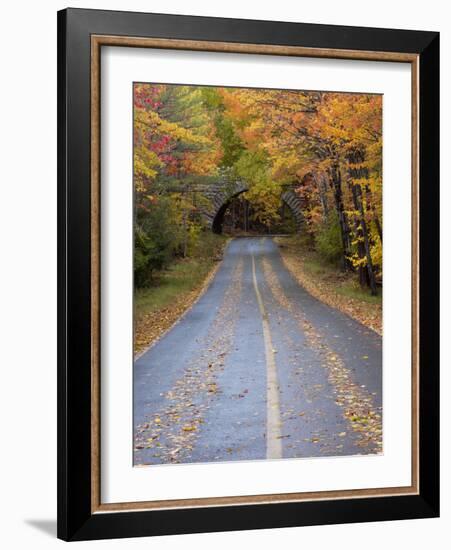 Road Through Acadia National Park in the Fall, Maine, Usa-Joanne Wells-Framed Photographic Print