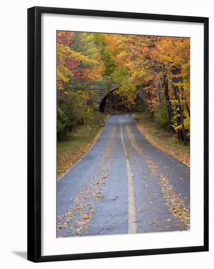 Road Through Acadia National Park in the Fall, Maine, Usa-Joanne Wells-Framed Photographic Print