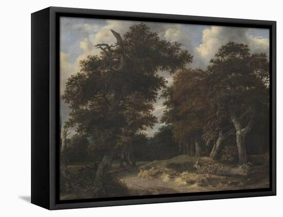 Road Through an Oak Forest, 1646-1647-Jacob Isaacksz Van Ruisdael-Framed Premier Image Canvas