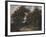 Road Through an Oak Forest, 1646-47-Jacob Isaaksz Ruisdael-Framed Giclee Print