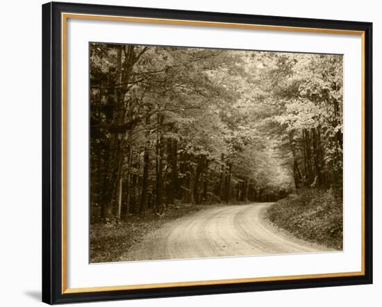 Road Through Autumn Trees, Green Mountain National Forest, Vermont, USA-Adam Jones-Framed Photographic Print