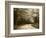 Road Through Autumn Trees, Green Mountain National Forest, Vermont, USA-Adam Jones-Framed Photographic Print